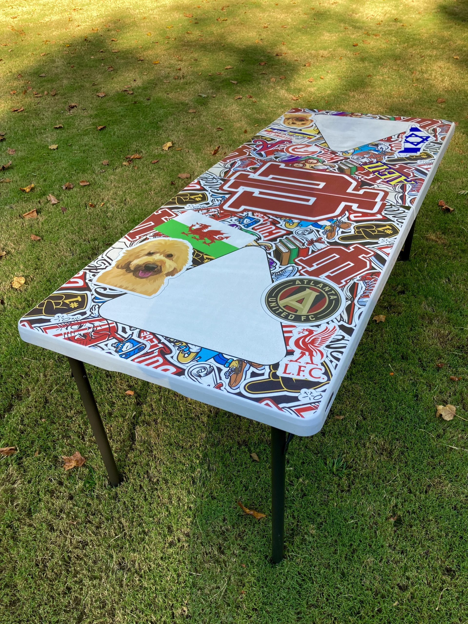 Create Your Own Custom Beer Pong Table