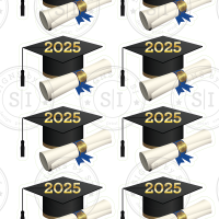 Black Graduation Caps & Diplomas - 12 pieces