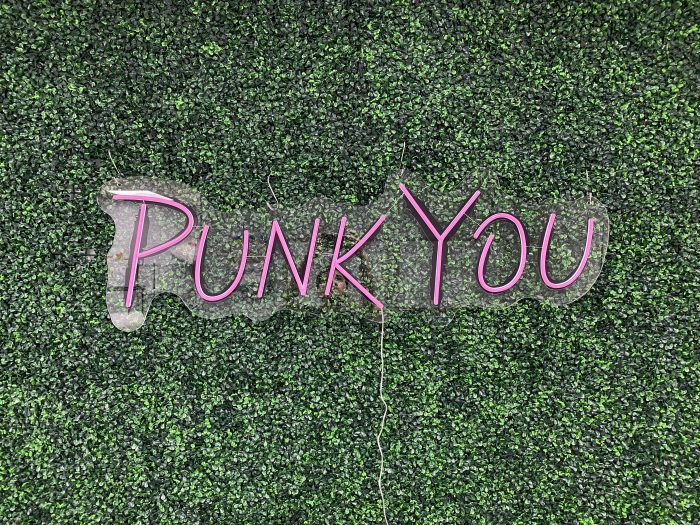 Punk You Acrylic Neon Business Sign | Birthday Party Neon Sign | Wedding Neon Sign | Sweet 16 Neon Sign | Bar Bat Mitzvah Neon Sign - Image 5