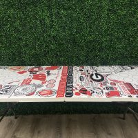 House Divided Theme Custom Beer Pong Table - Image 5