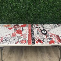 House Divided Theme Custom Beer Pong Table - Image 4